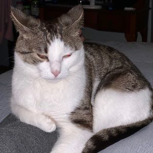 Meet your Posher, Cheryl